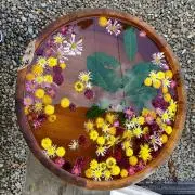 しゅーの画像