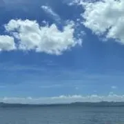 たにの画像