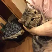 たっけー