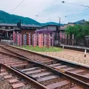ルーの画像