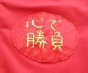 ゆうこりんの画像