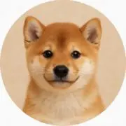Sakura★即購入可○の画像