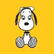 Cocoの画像