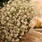 おまめママ
