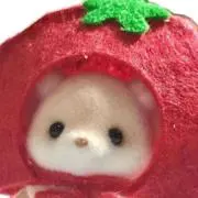 ぷりんの画像