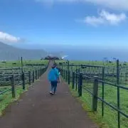 ひい