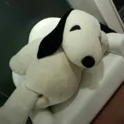 Suuuu