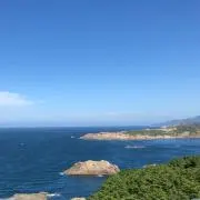 ワイワイ13の画像