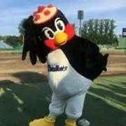 つばじろこ