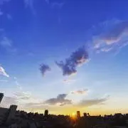 AHNEの画像