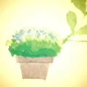 moniの画像
