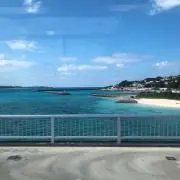 あおの画像
