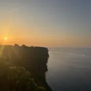 ゆきの画像