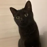 makiの画像