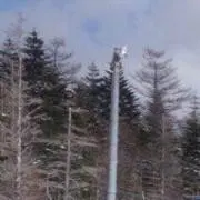 Ⓜ️の画像