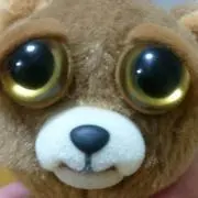あきんこの画像