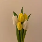 E★プロフ必読お願いしますの画像