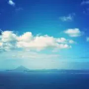 Pocariの画像
