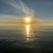 ボスザル
