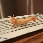 みやの画像