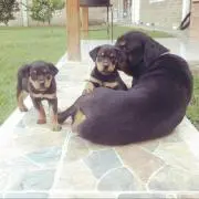 じゅり