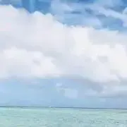 starの画像