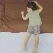 はちの画像