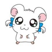 ルルの画像