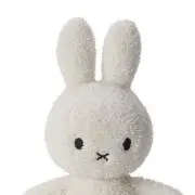 みっふぃーの画像