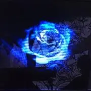 shi