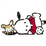 Nの画像