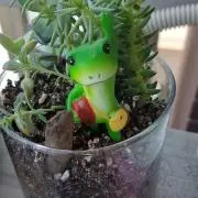 happyの画像