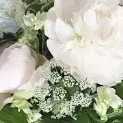 miuuの画像