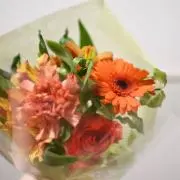 Karinの画像