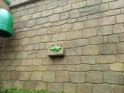 つくつく★プロフ確認の画像