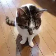 葉月⑅*♡
