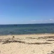 やくの画像