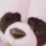 あかにゃ！の画像