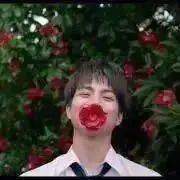 Yの画像