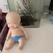 PIPPIぴっぴ