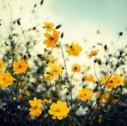 うな❤︎断捨離中の画像