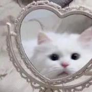 ららみの画像