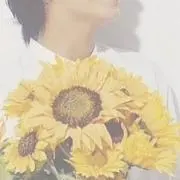 ひまわり