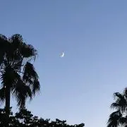 qtaの画像