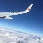 HARUの画像