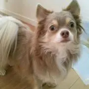 HIRO♪プロフ必読