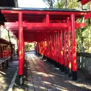本の山の画像