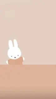 momigoisuの画像