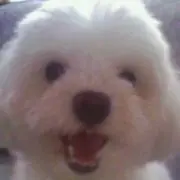 なえの画像