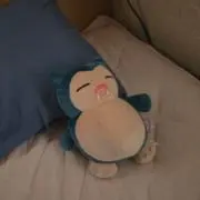 沙樹